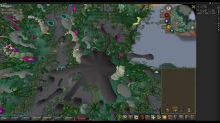 2021082802 runescape