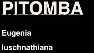 PITOMBA | Eugenia luschnathiana screenshot 5