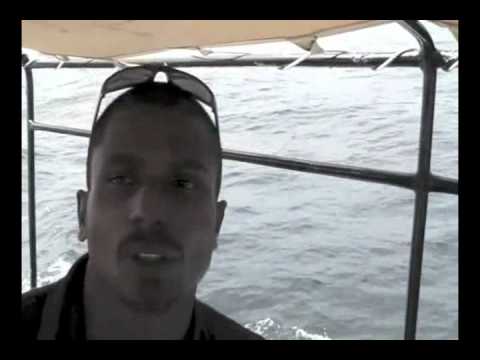 Whale and Dolphin Watching in Sri Lanka, Sri Lanka.