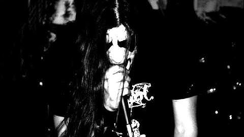 Howling in the Fog - Into My Veins