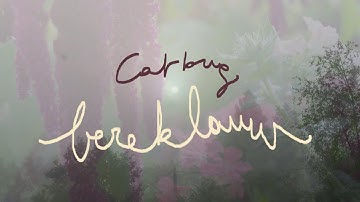 Catbug - bereklauw (Official Music Video)