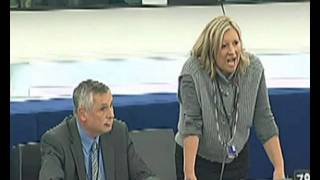20091021 The institutional aspects of the creation of a European external action service debate