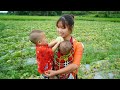 Single mother raising two children harvest melons to sell take care of children cooking