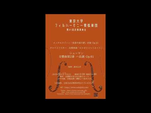 シューマン 交響曲第2番 ハ長調 作品61 第1楽章/Schumann Symphony No