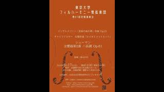 A Different Schumann Vol.2 交響曲第１番、第２番 シューマン 交響曲第2番 ハ長調 作品61 第1楽章/Schumann Symphony No