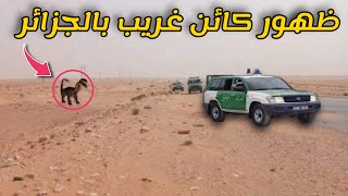 شاهد ظهور كاىٔن غريب في الجزاىٔر | لن تصدق حجمه