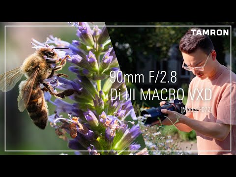 Dive into the Fascinating World of Macro Photography with the TAMRON 90mm F/2.8 Di III Macro