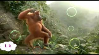 Purulia song /তোকে আমি ভালো বাসি/💓cartoon video