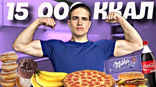 15 000 КАЛОРИЙ ЗА 24 ЧАСА (ЭТО ВОЗМОЖНО?) | 15 000 calorie challenge