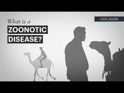 Video: Zoonoze In Marginalizirane Nalezljive Bolezni Revščine: Kje Stojimo?