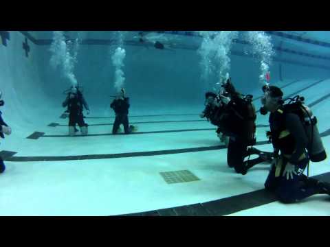 open-water-dive-pool-training--squalus-marine-divers