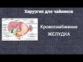 Хирургия для чайников. Кровоснабжение желудка.