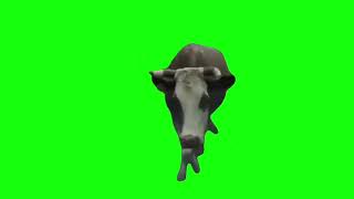 Cow Model Walking - Green Screen