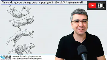 Qual a altura máxima que um gato pode cair?