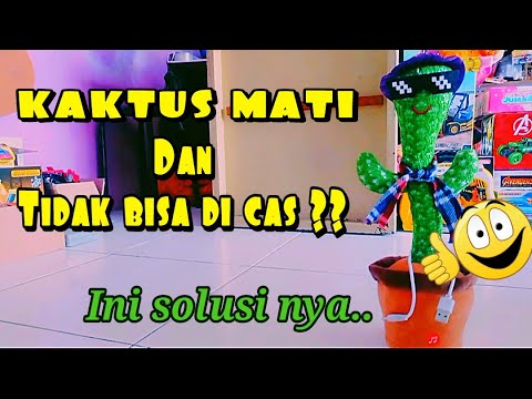 Cara Memperbaiki Boneka KAKTUS Mati dan Tidak Bisa Di CAS | Kaktus Viral