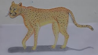 Cheetah 3D drawing / How to draw cheetah pencil sketch