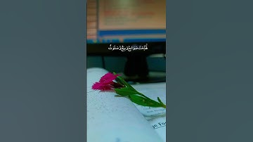 القرآن الكريم || القارئ ماهر المعيقلي