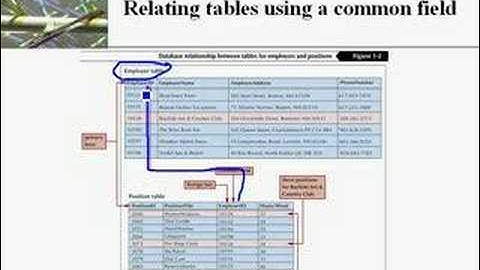 Intro to Databases - Microsoft Access