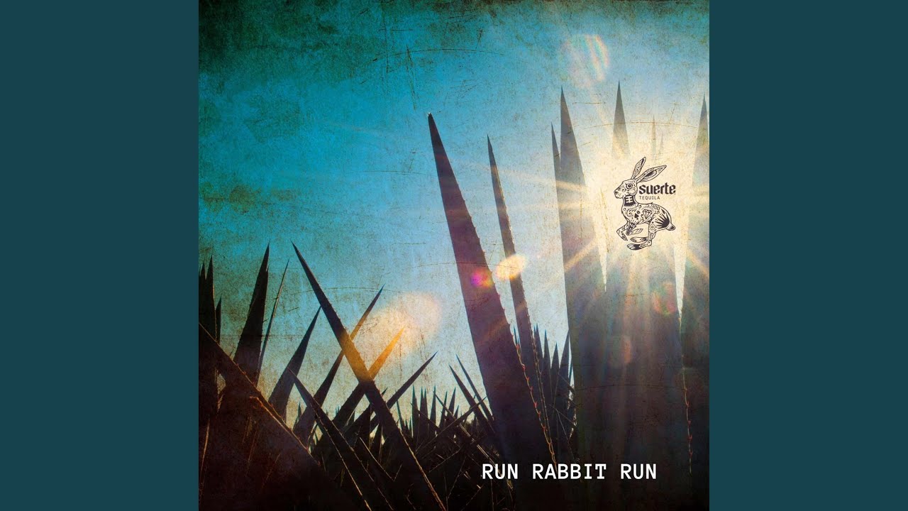 Run Rabbit Run (feat. Suerte Tequila) - YouTube
