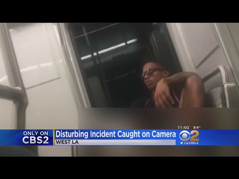 'Absolutely Brave': Woman Records Man Touching, Exposing Himself On Metro Train