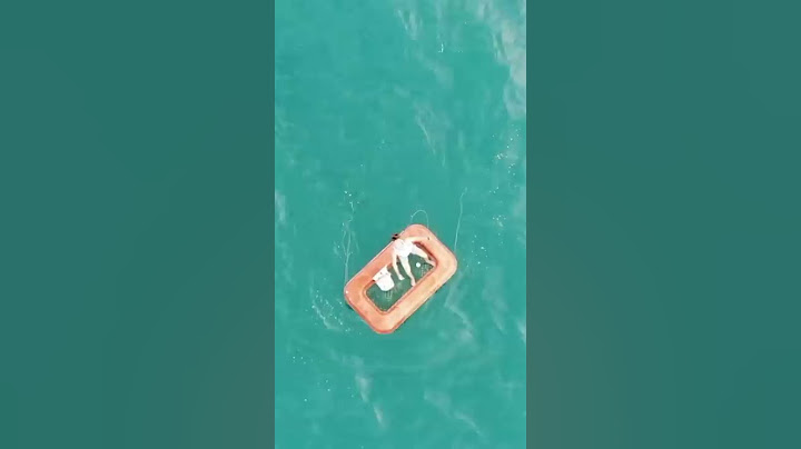SOBREVIVI no triângulo das bermudas 🦈 #shorts