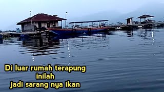 Nikmat nya good banget,saat Mancing dapat Ikan banyak all hasil terjadilah pesta sambaran