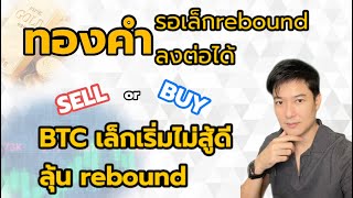 xauusd btc forex วิเคราะห์แนวโน้มคริปโตและทองคำ