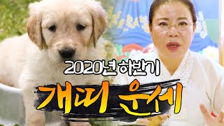 경자년 하반기 개띠 운세 대공개  [ 94년생 82년생 70년생 58년생 ] 인간과 문서를 잘 살펴야 하는 …