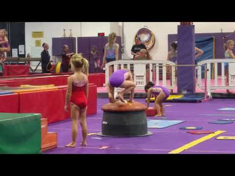 Ava gymnastics