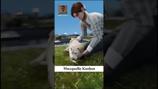 Sidan U Badbaadi Eyga