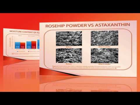 effects-of-rose-hip-on-cell-longevity,-skin-wrinkles-and-elasticity---video-abstract-90092