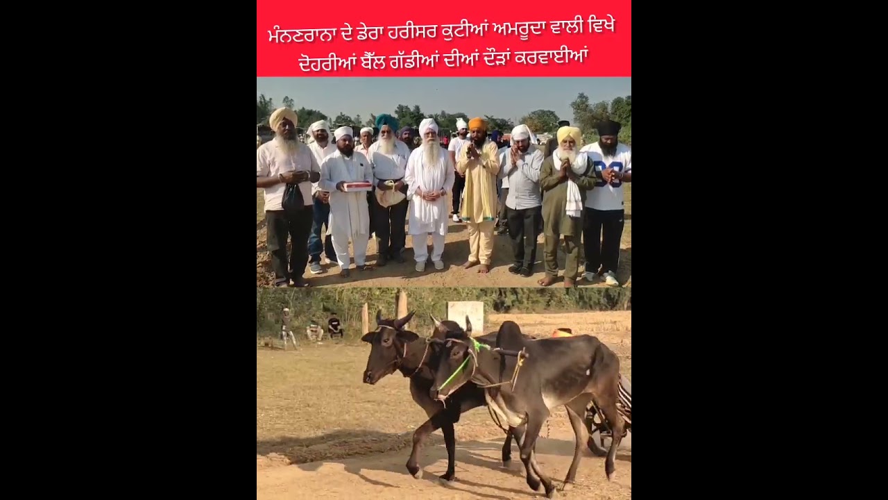 ਮੰਨਣਰਾਨਾ ਦੇ ਡੇਰਾ ਹਰੀਸਰ ਕੁਟੀਆਂ ਅਮਰੂਦਾ ਵਾਲੀ ਵਿਖੇ ਦੋਹਰੀਆਂ ਬੈੱਲ ਗੱਡੀਆਂ ਦੀਆਂ ਦੌੜਾਂ ਕਰਵਾਈਆਂ
