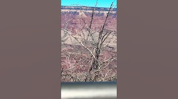 Grand Canyon in real life