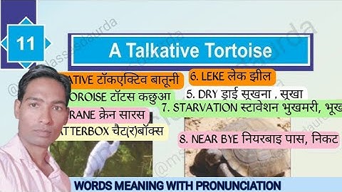 class 5 English chapter 11 A talkative tortoise | RBSE class 5 english chapter 11| #English #dslpra