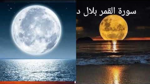 بلال دربالى سورة القمر الصوت الهادى