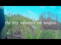 Охота на бобра с PCP пневматикой. Beaver Hunting With Air Rifle. (новое место/new place)