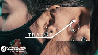 HOW TO PIERCE A TRAGUS l Platinum Tattoos Piercings
