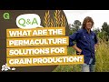 Quelle est la solution de permaculture pour une production cralire suffisante 