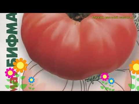 Видео: Гибриды Бифмастер - Уход за растениями томатов Бифмастер