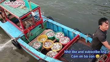 VLOG 408: ghe rập bát quái trúng GHẸ MẶT TRĂNG tính bằng tạ ở cảng CÁ LAGI!!!!