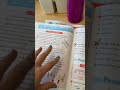 Here’s how I grade my kids’ homeschool assignments without giving them too much support