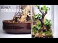 The Bonsai Terrarium