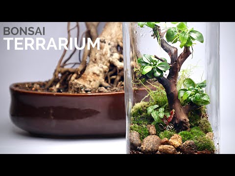 grow lights for large indoor plants GLOWRIUM Full Spectrum Plant Grow Lights 30W (45 in) with Auto-Timer  Hanging and Standing Wide Area Coverage in Indoor Plants-G3 main image 1