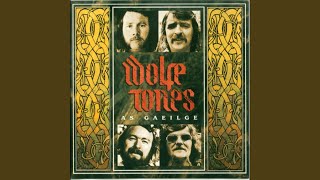 Video thumbnail of "The Wolfe Tones - Thugamar Féin An Samhradh Linn"