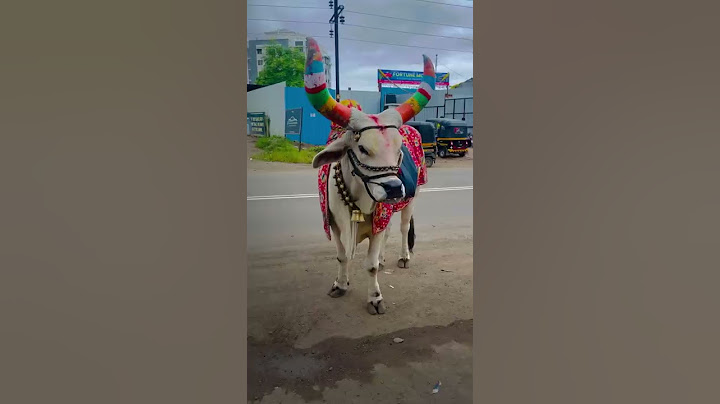 नंदीबैला🐂डीझेल आणि पेट्रोल चे Rate कमी होईल का?❌🤣😁😍#comedy #animals  #nandibail #diesel #petrol