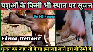 Edema in Animals Tretment||पशुओं के किसी भी स्थान पर सूजन||दबाने पर सूजन दब जाए तो इलाज कैसे करें??