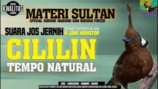 MATERI SULTAN || CILILIN GACOR  || TEMPO NATURAL || DURASI 4 JAM SUARA JERNIH BOSKU.!! #cililingacor