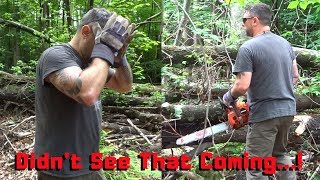 Mive Tree Vs. Chainsawchain Snaps Feat. Kubota B3300Su
