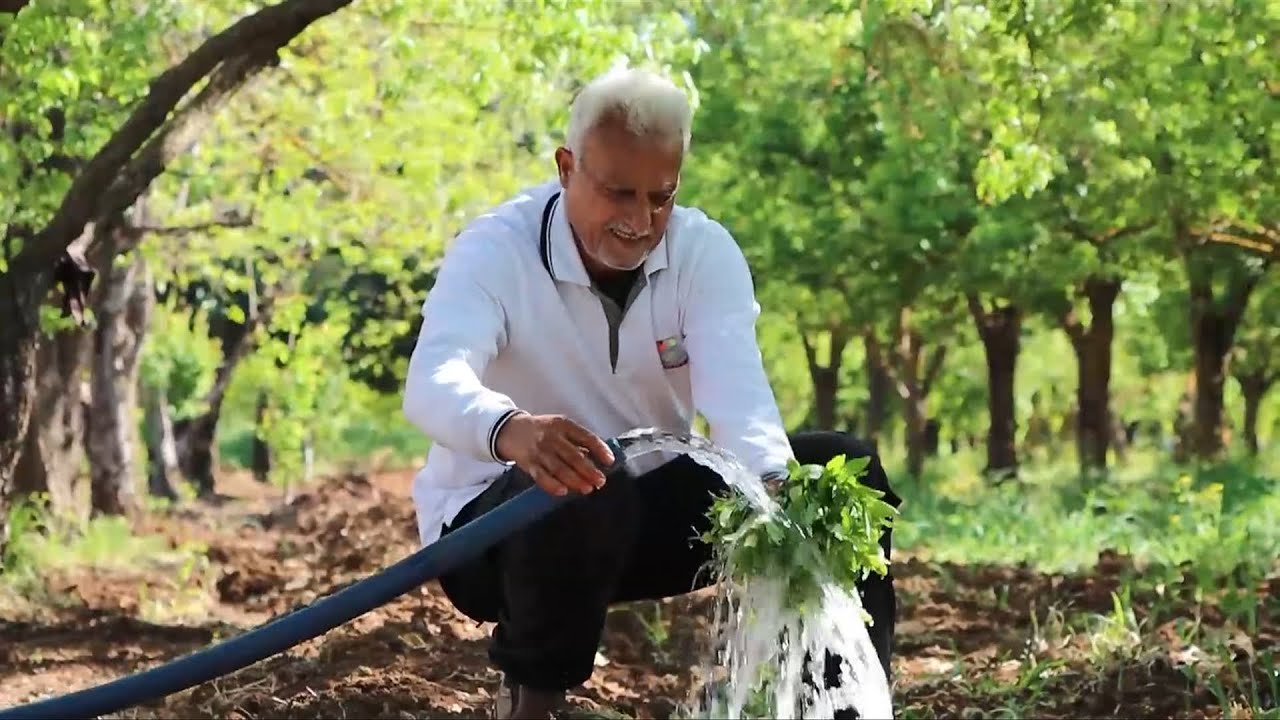 حارم.. درة الريف الإدلبي وصاحبة الينابيع السبعة