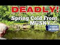 Deadly Spring Cold Front MUSKY Tactic!